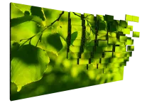 Картинка с сайта