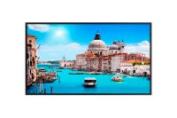 SberDevices SDPD-S55BU