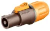 ROXTONE RAC3FCI-WP Brown