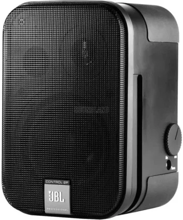 Купить JBL Control 2P/230 по выгодной цене в Самаре