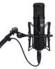 Купить WARM AUDIO WA-47jr по выгодной цене в Самаре
