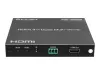 iconBIT HS-2506