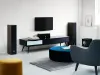 Купить DALI GRILLE SPEKTOR 6 BLACK по выгодной цене в Самаре