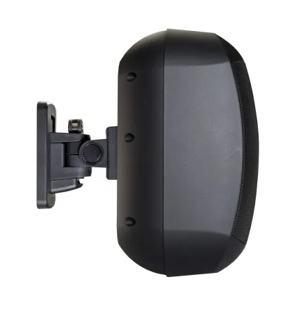 Купить BIAMP MASK6CT-BL по выгодной цене в Самаре