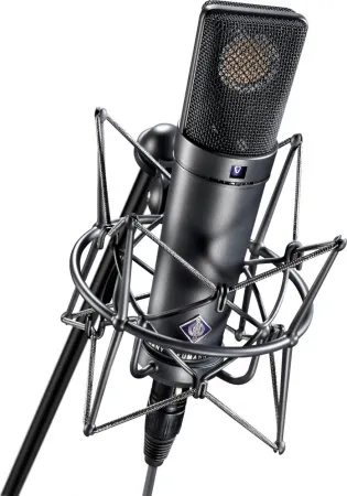 Купить NEUMANN U 89 i по выгодной цене в Самаре
