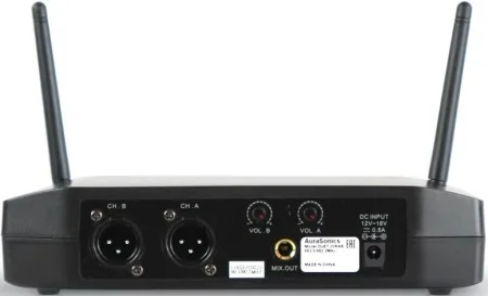 AuraSonics DUET 20S1