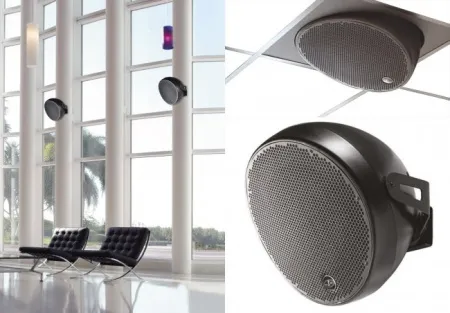 Купить DAS Audio OVI 12 по выгодной цене в Самаре