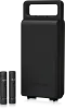 Купить BEHRINGER C-2 DARK EDITION по выгодной цене в Самаре