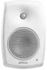 Купить Genelec 4430AW по выгодной цене в Самаре