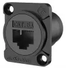 ROXTONE RAE8FD-C6A-S-B (Grounded version)