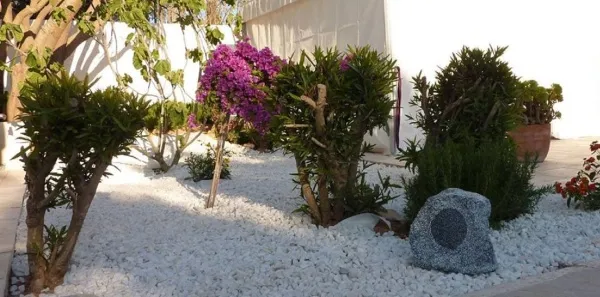 BIAMP ROCK20 BIAMP ROCK20