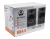 Купить AuraSonics KN4.5 по выгодной цене в Самаре