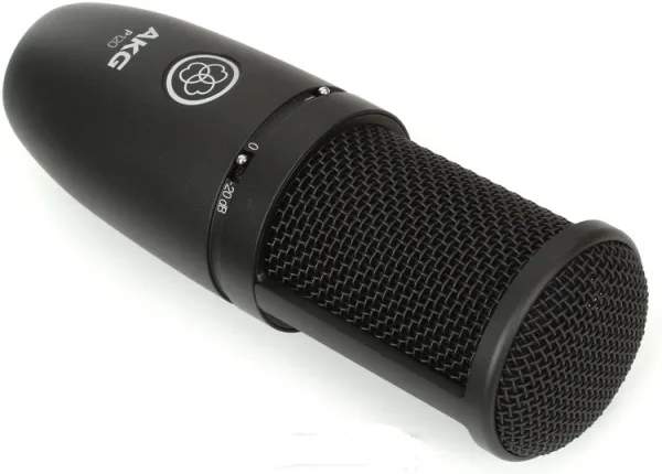 AKG P120