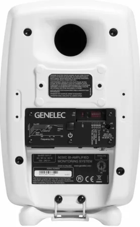 Купить Genelec 8030CW по выгодной цене в Самаре