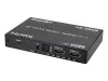 Купить iconBIT HS-2505 по выгодной цене в Самаре