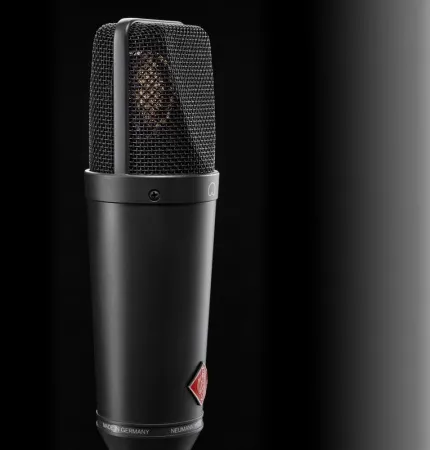 NEUMANN TLM 193