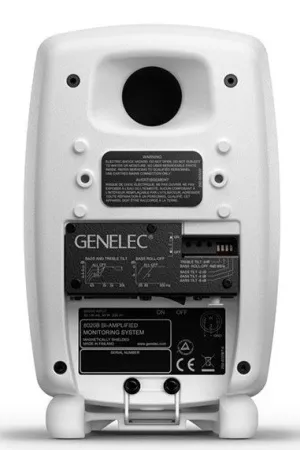 Купить Genelec 8020DWM по выгодной цене в Самаре