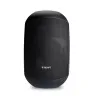 Купить BIAMP MASK6CT-BL по выгодной цене в Самаре