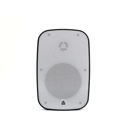 Купить AuraSonics DENSE-5T-WH по выгодной цене в Самаре