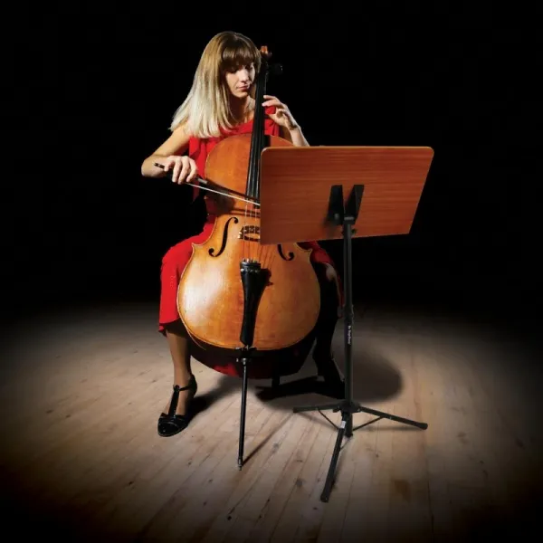 ONSTAGE SM7312W ONSTAGE SM7312W