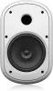 Купить Tannoy DVS 801-WH по выгодной цене в Самаре