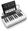 Купить IK MULTIMEDIA iRig Keys I/O 25 по выгодной цене в Самаре