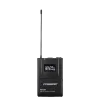 Купить Pasgao PAW-920 Rx_2x PBT-801 TxB по выгодной цене в Самаре