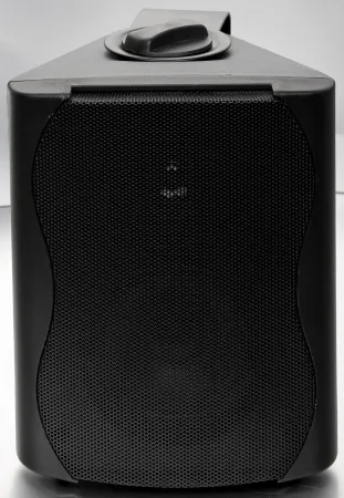 Купить SVS Audiotechnik WS-20 Black по выгодной цене в Самаре