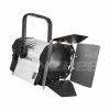 Купить ANZHEE PRO Spectrum Fresnel W 300 по выгодной цене в Самаре