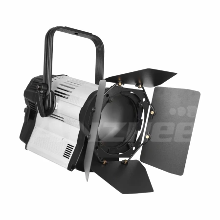 Купить ANZHEE PRO Spectrum Fresnel W 300 по выгодной цене в Самаре