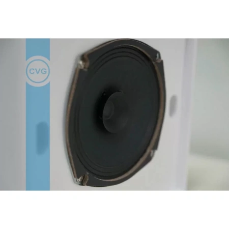 Купить CVGAUDIO WPS6T по выгодной цене в Самаре