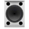 Купить TANNOY VX 15HP-WH по выгодной цене в Самаре