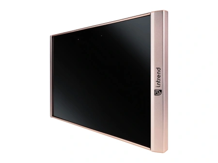 Купить Intrend ICS-IR-TX по выгодной цене в Самаре