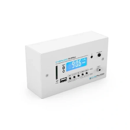 Купить CVGAUDIO R-25W по выгодной цене в Самаре