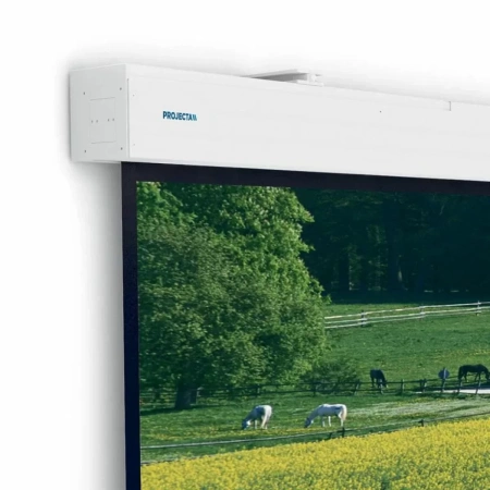 Купить Projecta Elpro Large Electrol 176 по выгодной цене в Самаре