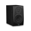 Icon DT-6S