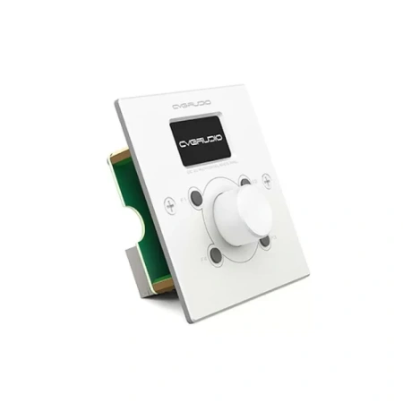 Купить CVGAUDIO ERC-2W по выгодной цене в Самаре