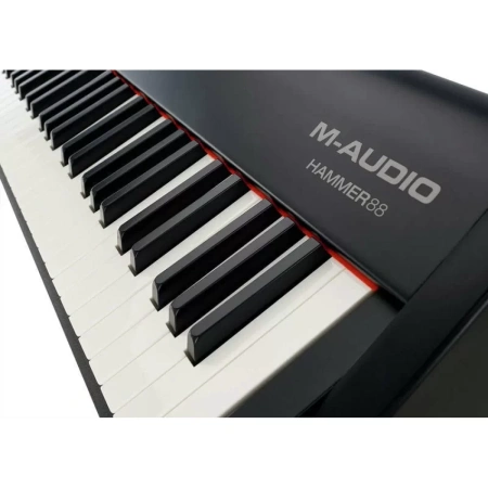Купить M-audio Hammer 88 по выгодной цене в Самаре