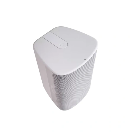 Купить Biamp Desono DX-S8-UB-W White по выгодной цене в Самаре