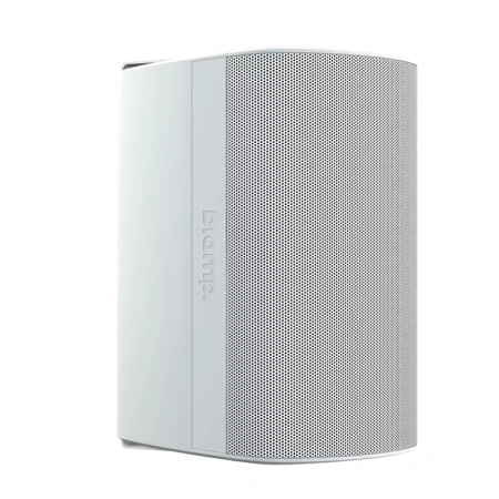 Купить Biamp Desono DX-S5-UB-W White по выгодной цене в Самаре