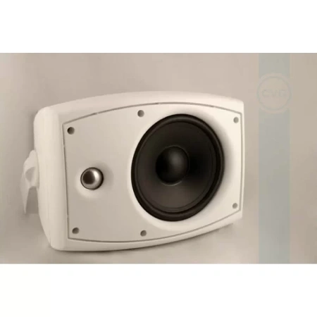 Купить CVGAUDIO ODF608TW по выгодной цене в Самаре