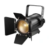 Купить I LIGHTING IL-LED Fresnel 100BC по выгодной цене в Самаре