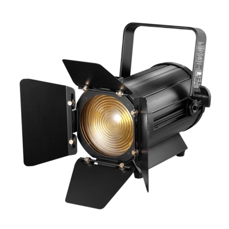 Купить I LIGHTING IL-LED Fresnel 100BC по выгодной цене в Самаре