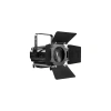 Купить LightCraft Fresnel 300 ZOOM CW+WW по выгодной цене в Самаре