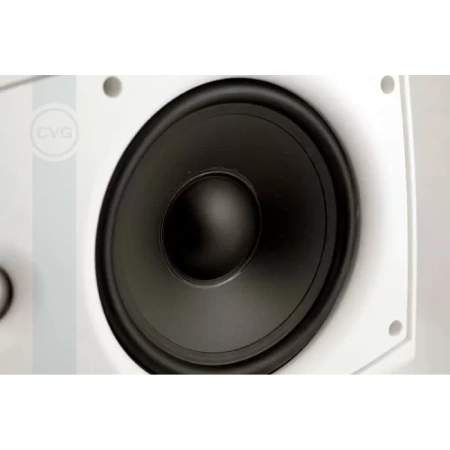 Купить CVGAUDIO ODF608TW по выгодной цене в Самаре