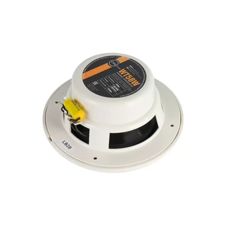 Купить CVGAUDIO WT58W по выгодной цене в Самаре
