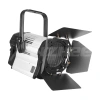 Купить ANZHEE PRO Spectrum Fresnel F 300 по выгодной цене в Самаре