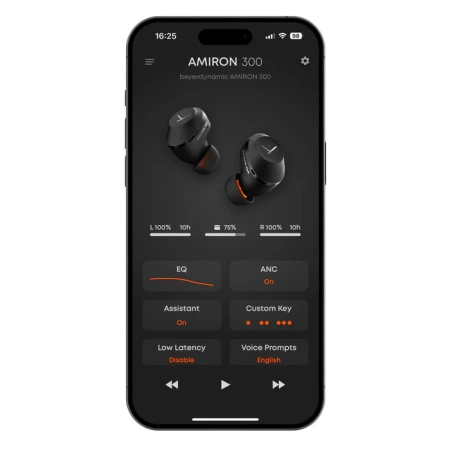 Купить Beyerdynamic Amiron 300 Black по выгодной цене в Самаре
